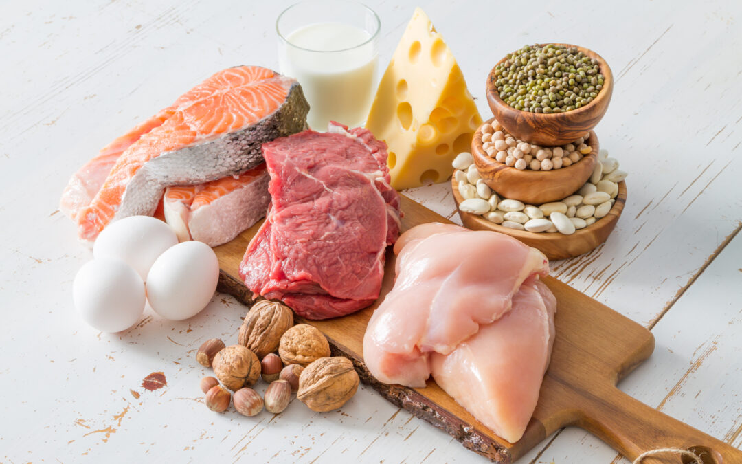 Our Beginner Friendly Guide to Protein Intake